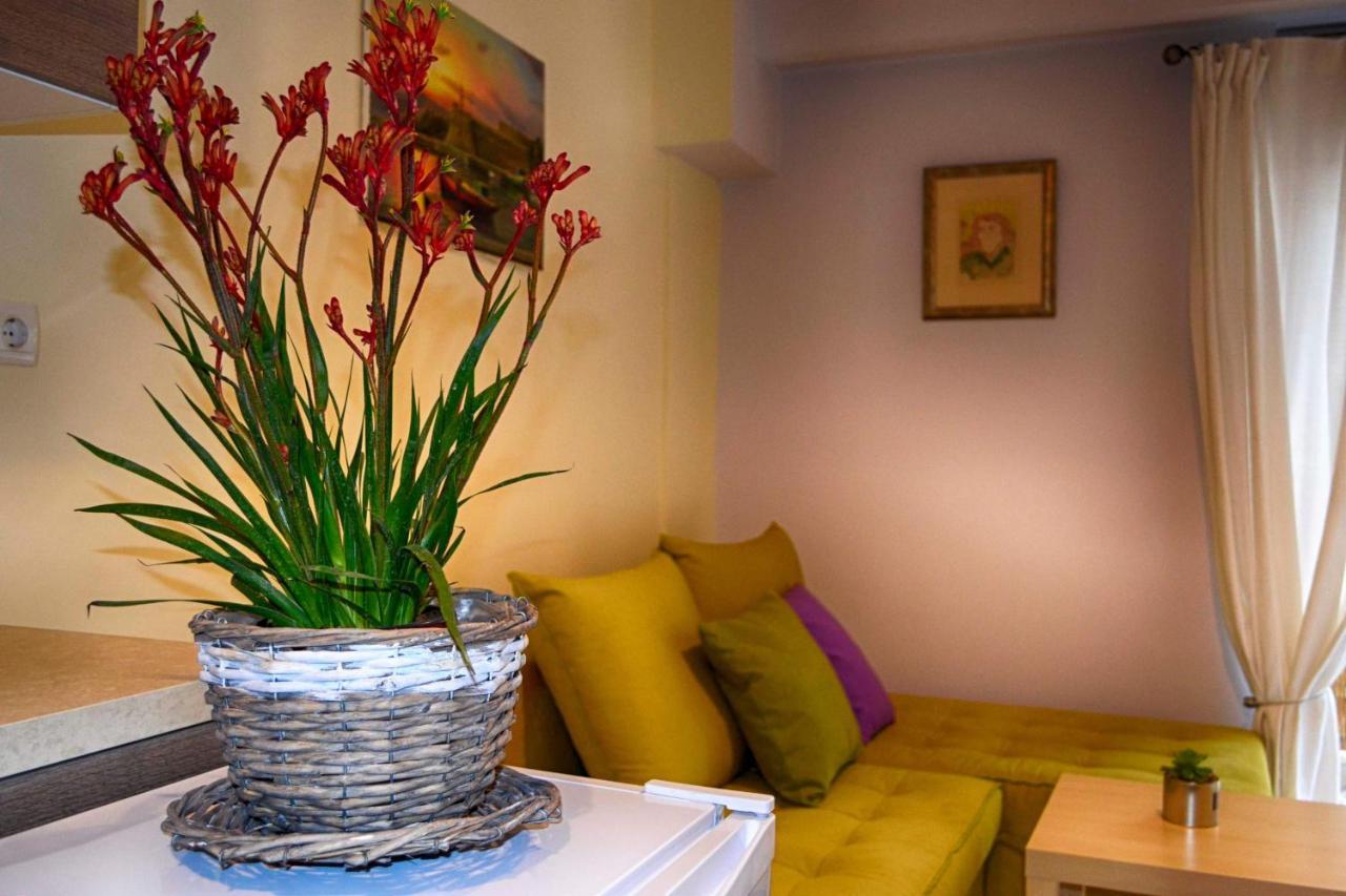 Central Guest Room أولمبيا المظهر الخارجي الصورة